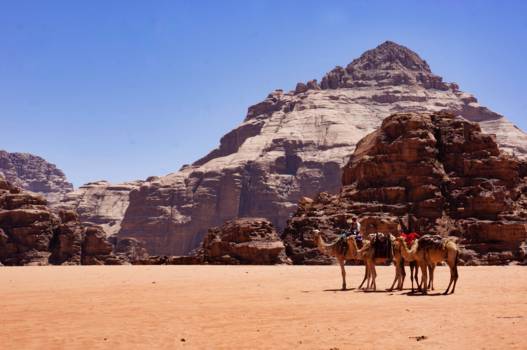 Wadi Rum - Life in Wadi Rum