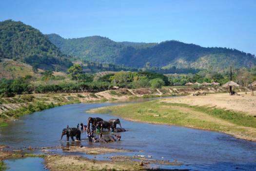 Chiang Mai - Happy Elephant Park