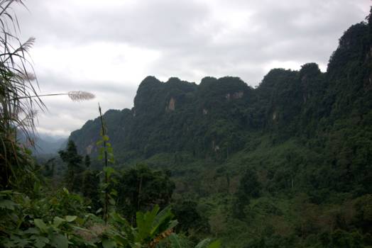 Phong Nha-Ke Bang National Park - 570e58d4c9ef5.jpg