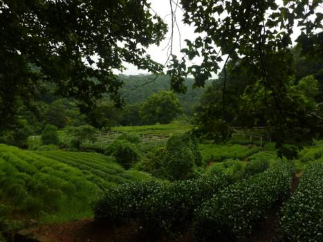 Hangzhou en West Lake
