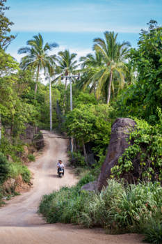 Koh Tao