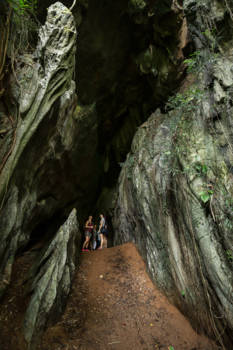 Khao Sok National Park - See Ru Cave