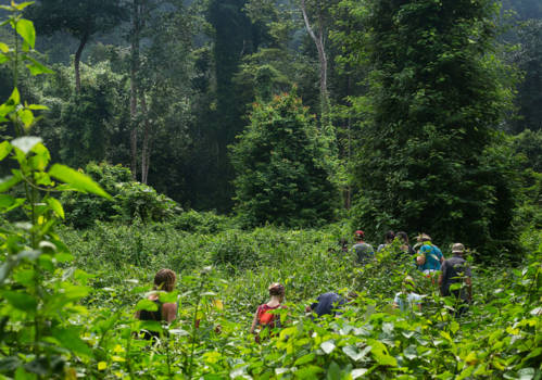 Khao Sok National Park - Wandeltocht door het regenwoud