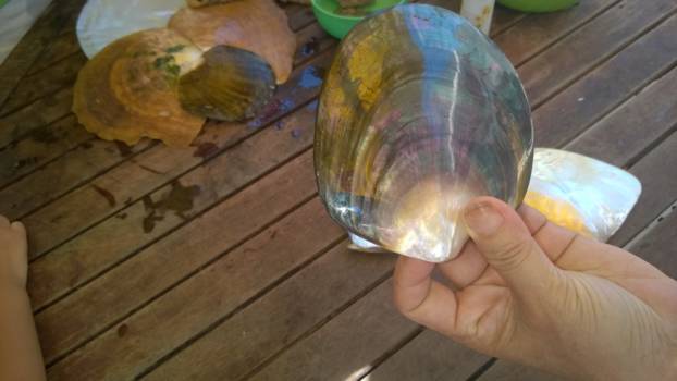 Phu Quoc Island - Parelvisser uitleg