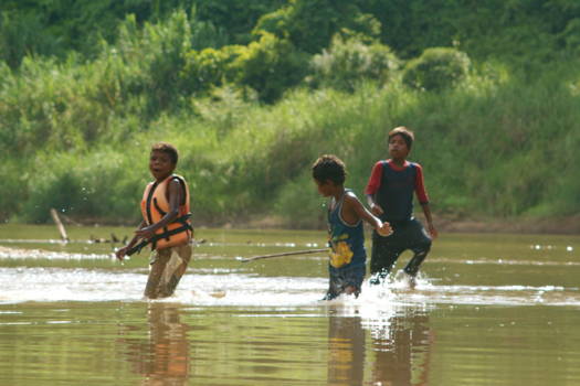 Taman Negara National Park - Taman Negara Jungle