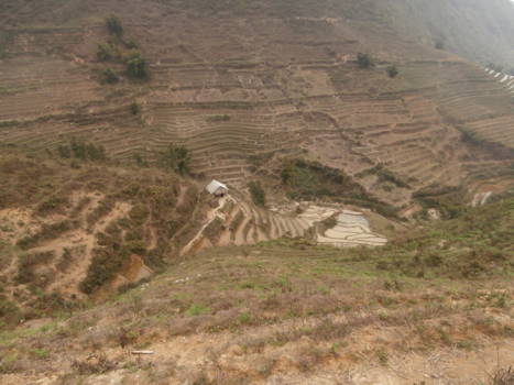 Sapa - landschap