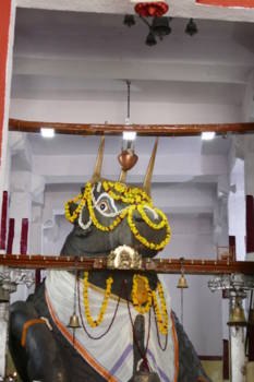 Bangalore (Bengaluru) - De Bull temple