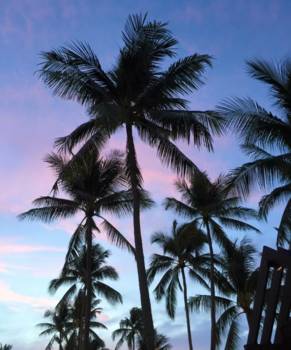 Fisherman's Village in Bo Phut