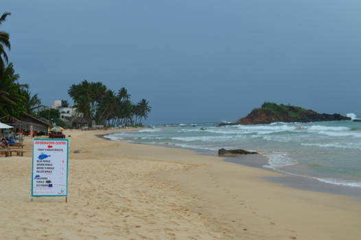 Mirissa - Mirissa Beach