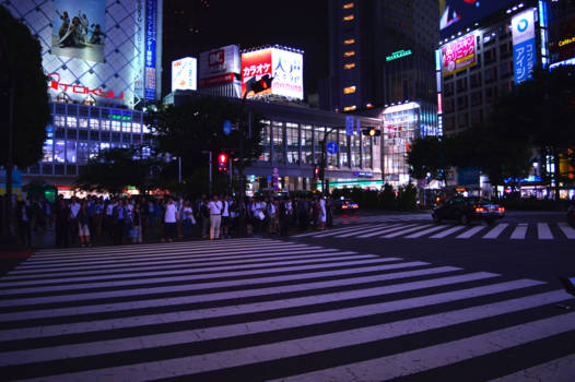 Shibuya Crossing - Shibuya Crossing 1