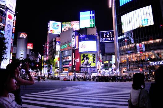 Shibuya Crossing - Shibuya Crossing 3
