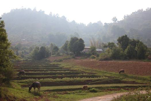 Myanmar - Inle Lake