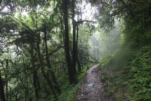 Annapurna Trail Trek