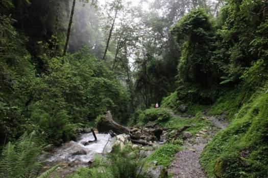 Annapurna Trail Trek