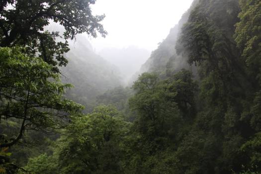 Annapurna Trail Trek