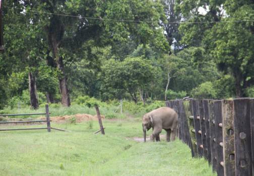 Nepal - Chitwan National Park