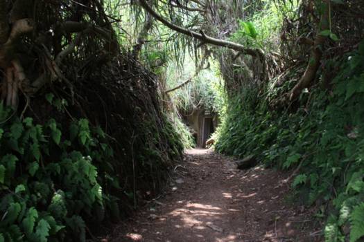 Tunnelcomplex van Vịnh Mốc