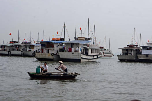 Halong Bay - Halong Bay