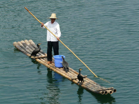 Yangshuo - Catching fish the lazy way