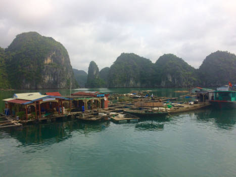 Halong Bay - Floating village