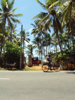 Sri Lanka - Daily life