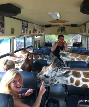 Kanchanaburi - In het Safaripark in Thailand!