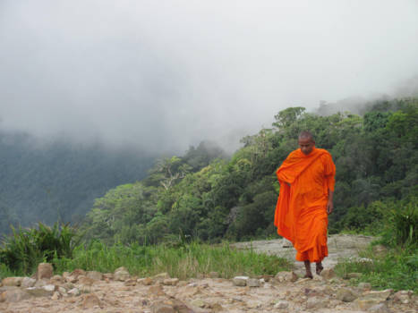 Cambodja - Een monnik komt uit de mist lopen
