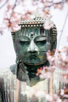 Japan - Sakura meets happines