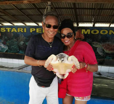 Nusa Dua en Tanjung Benoa - Happy turtle couple❤️