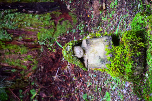 Japan - okunoin-begraagplaats