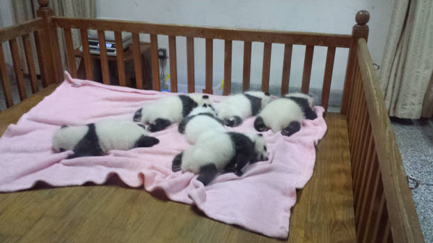 Chengdu - Zo schattig en uniek!