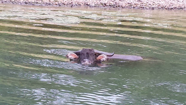 China - Guilin / Yangshuo