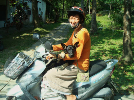 Taiwan - Kloosterarbeid in Taiwan