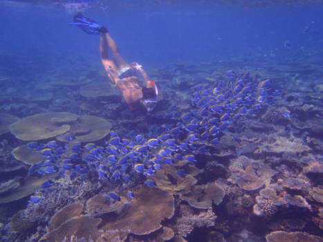 Malediven - Visjes en ik