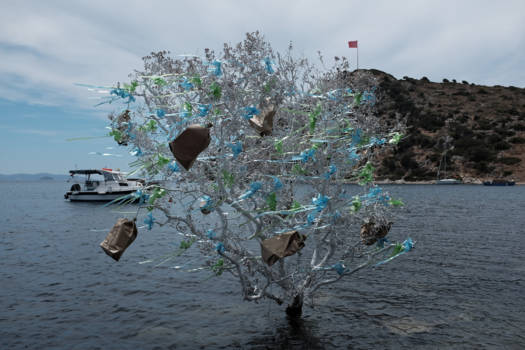 Turkije - Wensboom
