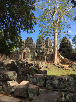 Cambodja - Verborgen tempel