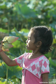 Cambodja - Lotusbloemmeisje
