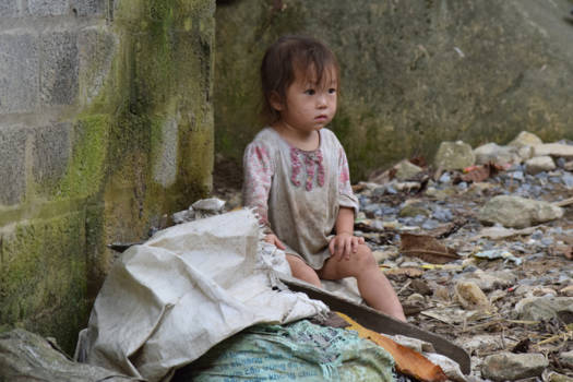 Sapa - Moving moment