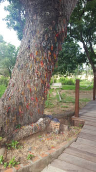 Killing Fields - This three has seen so much ;(