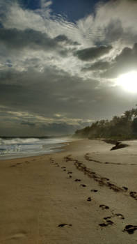 Sri Lanka - Lonely beach