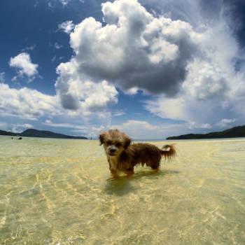 Koh Rong - Making new Cambodian beachfriends