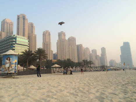 Dubai - Palm Jumeirah beach