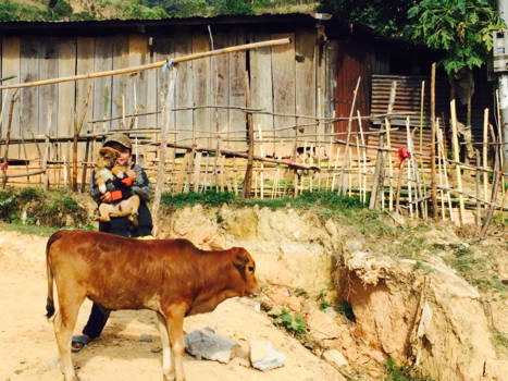 Vietnam - Have you seen my puppy?!