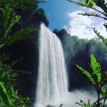 Bolaven Plateau - Forceful Nature Laos Bolaven Plateau