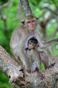 Thailand - Moeder en kind in Phetchaburi Thailand