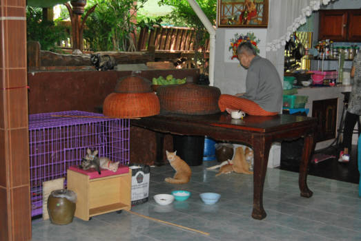 Thailand - De oma die steeds op tafel zat. Juli 2015 Ayutthaya