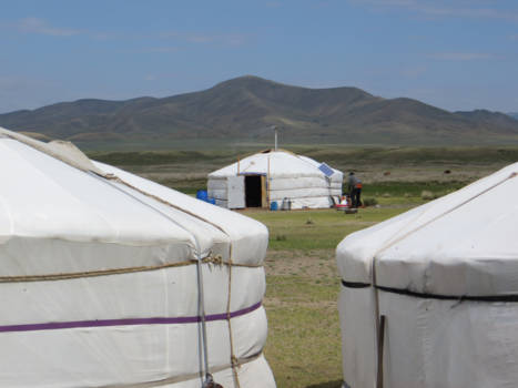 Mongolië - Gertenten