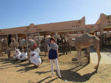 Dubai - De kamelenmarkt