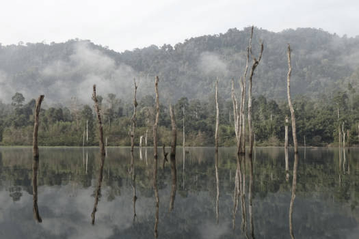Khao Sok National Park - Ondersteboven in Thailand