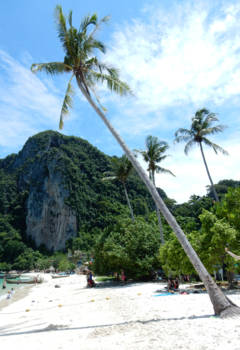 Krabi - Phi Phi Islands